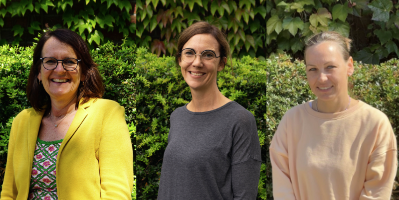 Datei:Bildschirmfoto 2026-01-28 um 10.20.20.png